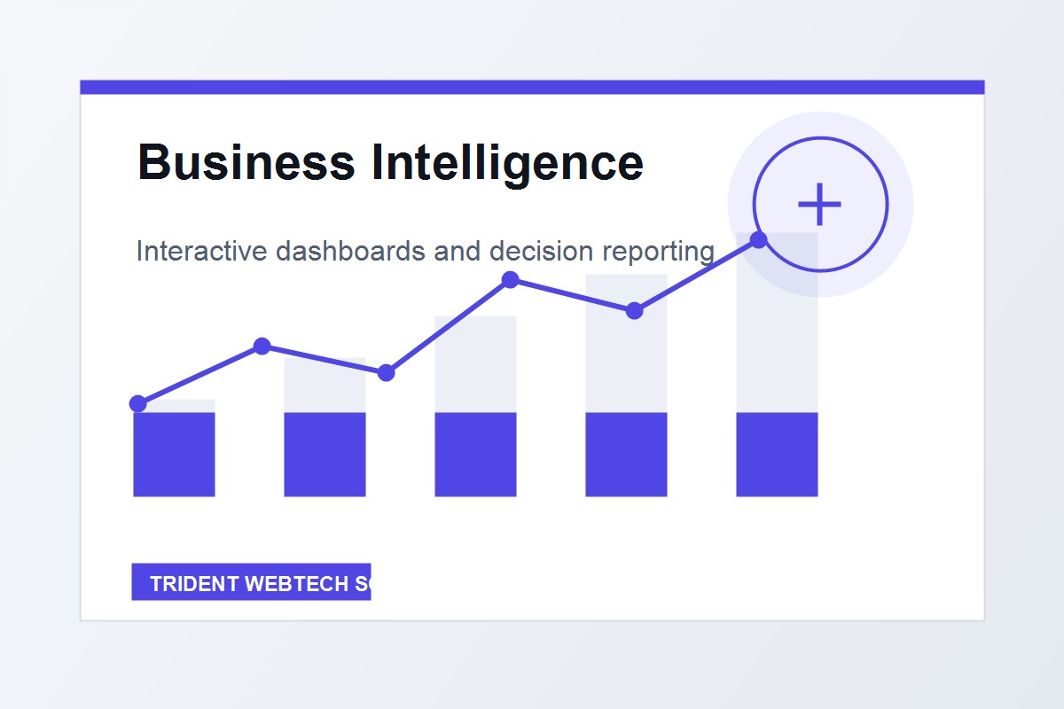 Business Analytics & Intelligence reporting and review visual
