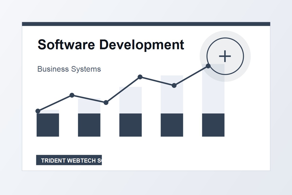 Software Development professional service visual for international market positioning