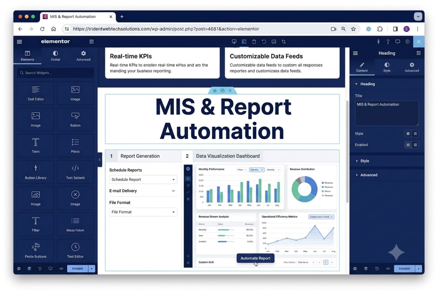 MIS & Report Automation dashboard displaying real-time KPIs, data visualization, automated reporting, customizable data feeds, and business intelligence analytics by Trident WebTech Solutions.